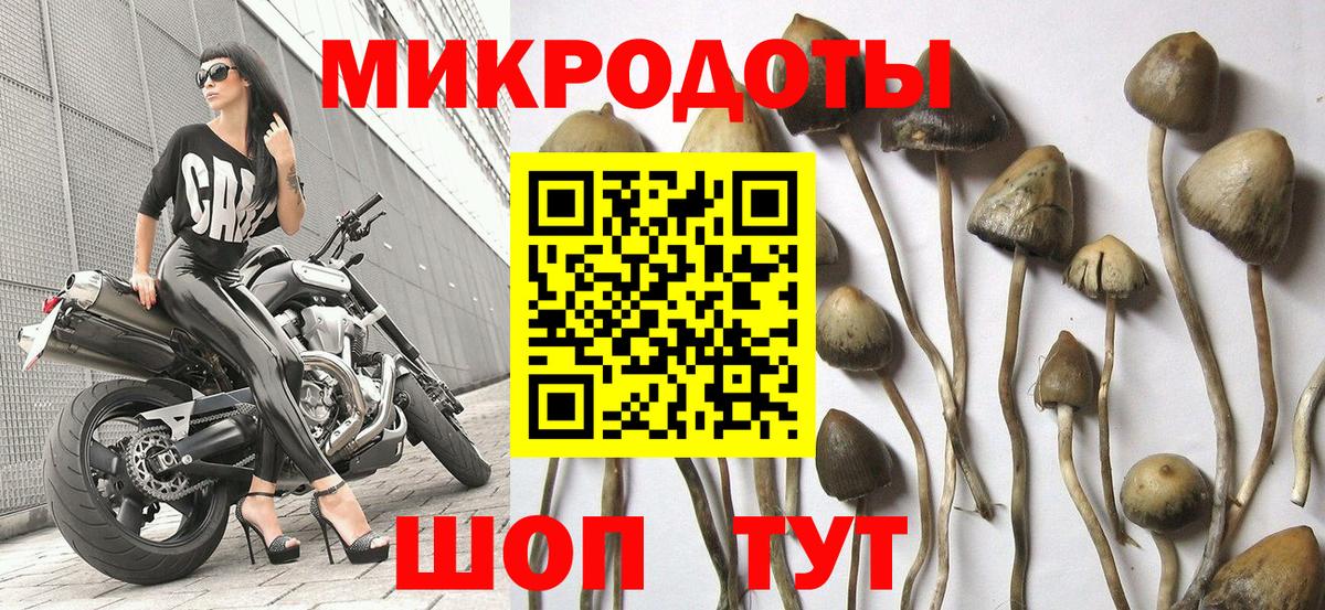 Псилоцибиновые грибы мицелий  Псилоцибиновые грибы GOLDEN TEACHER  Вход с VPN  наркота  Краснокамск 